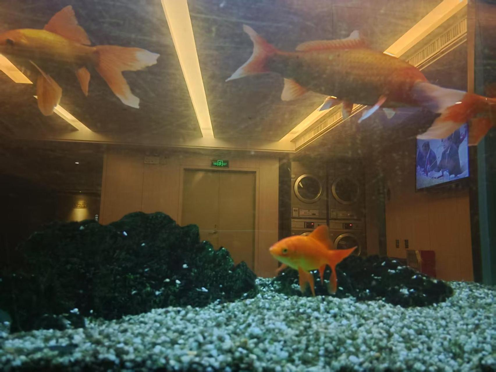 Paco Hotel Tianhe Coach Terminal Metro Satation Guangzhou-Free Shuttle Bus For Canton Fair 외부 사진